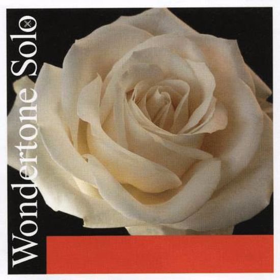 Set strun za violino 4/4 Wondertone Pirastro