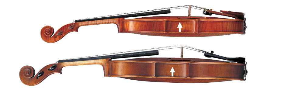 Konstrukcija violine in viole Konstrukcija violine in viole