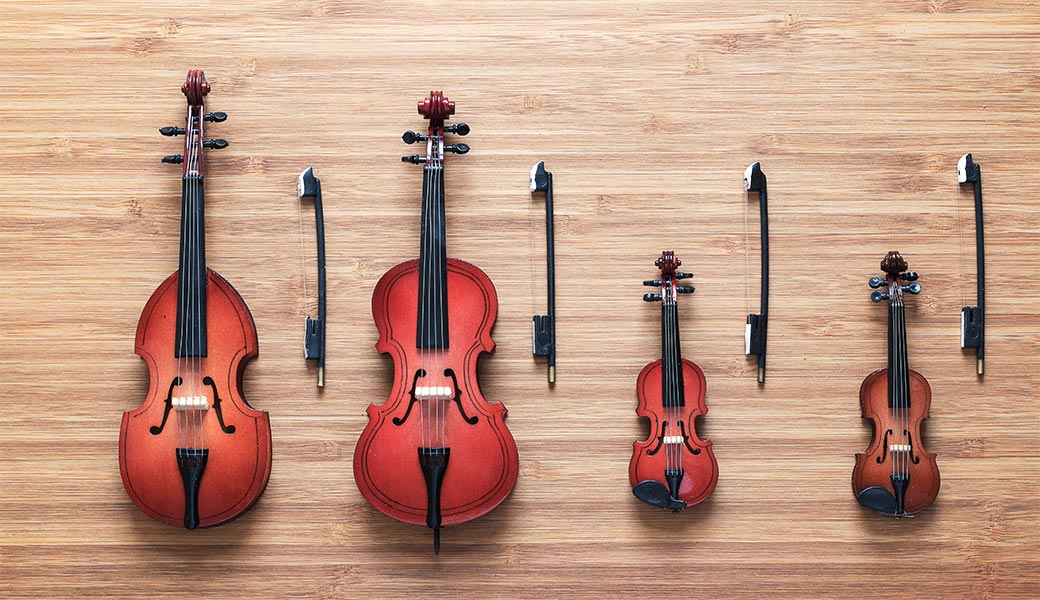 Violine in viole