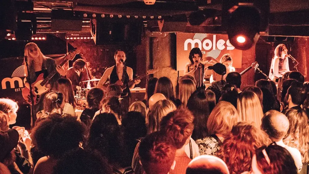 Moles – Bath